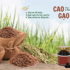 cao gạo thảo dược